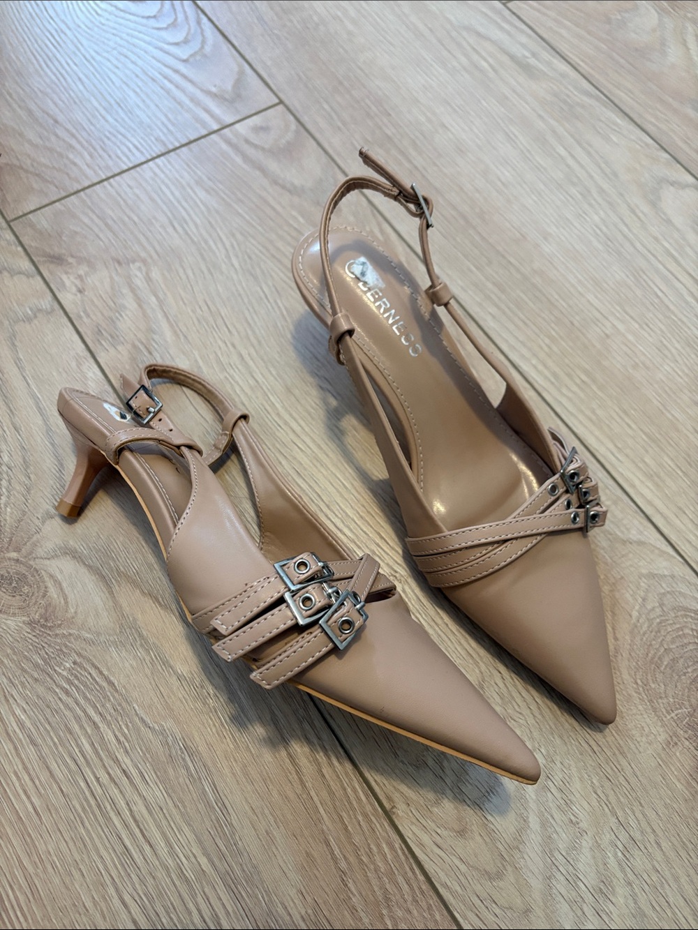 Pointed-Toe Slingback Heels with Buckle Straps - Nude